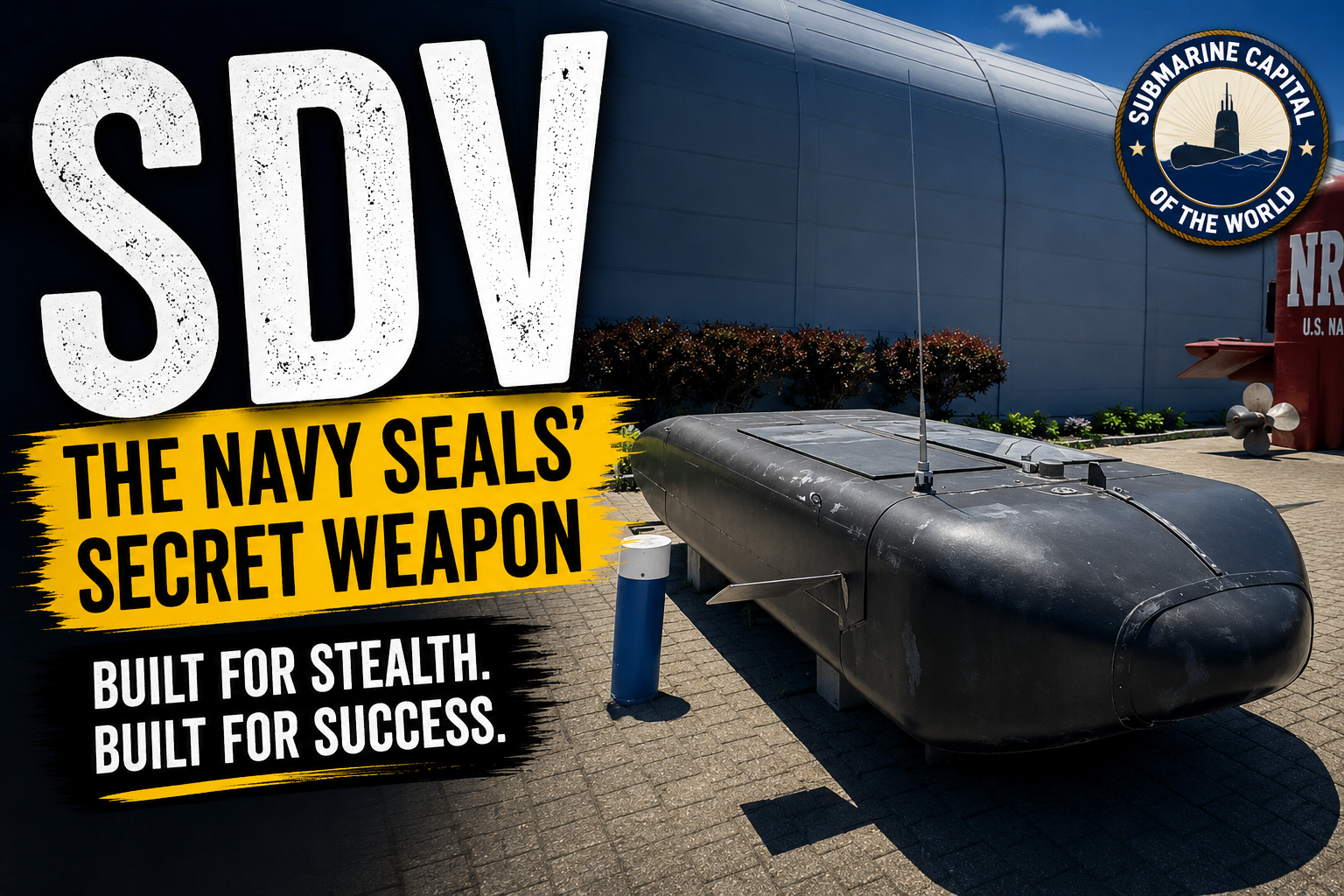 What is an SDV?